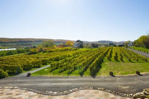 la bullerie vinyard