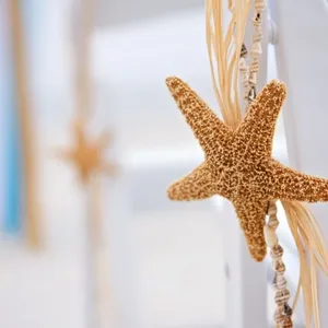 "Simple starfish, raffia, and shell necklace decoration on chairs at a beach wedding. Here are a couple of similar pictures from my portfolio."